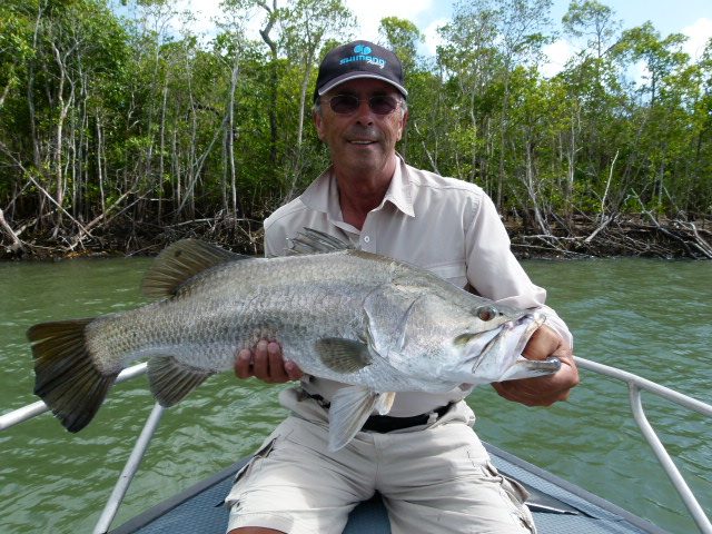 A barramundi from the mangrove edges