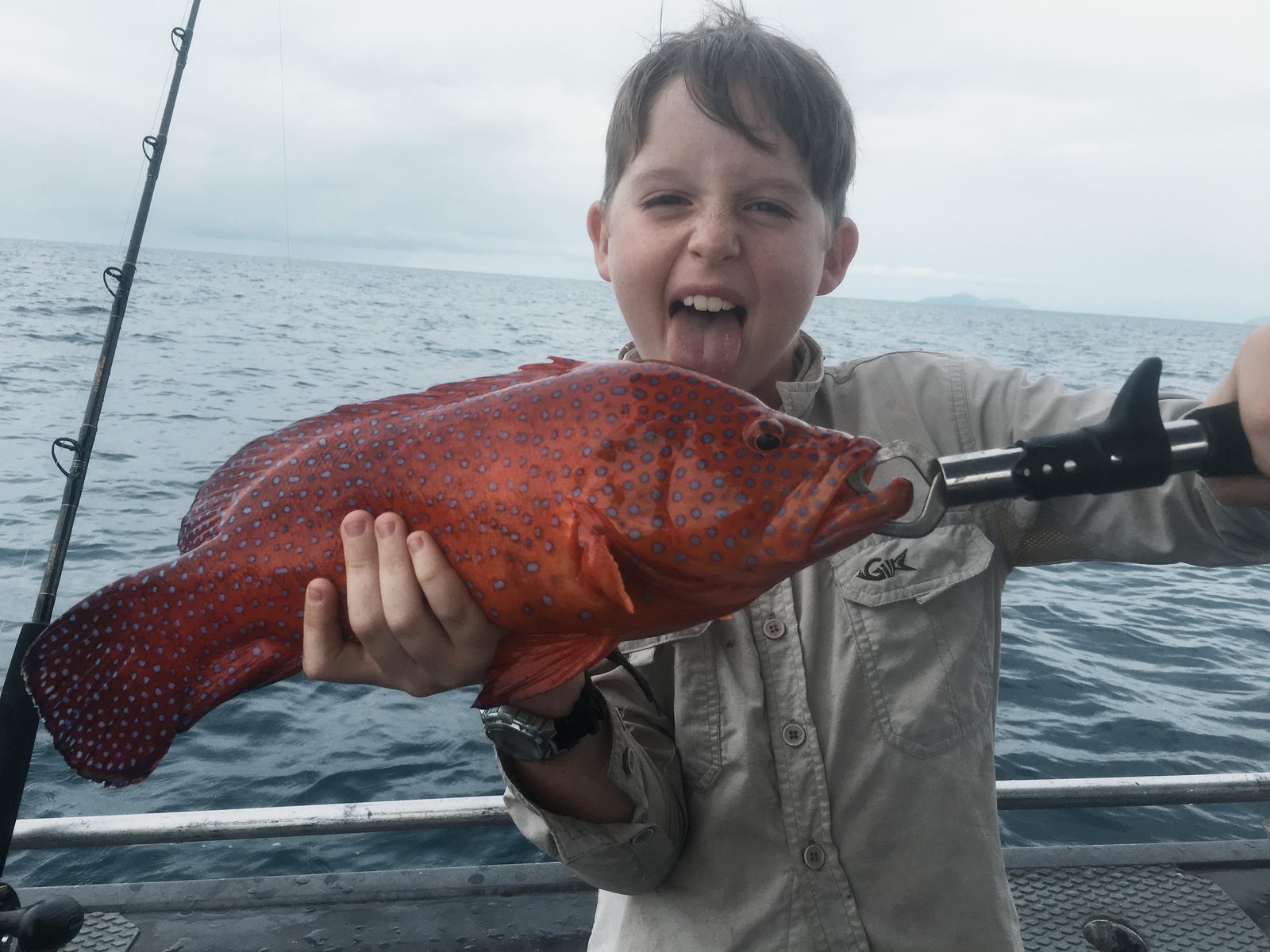 A bright coral trout