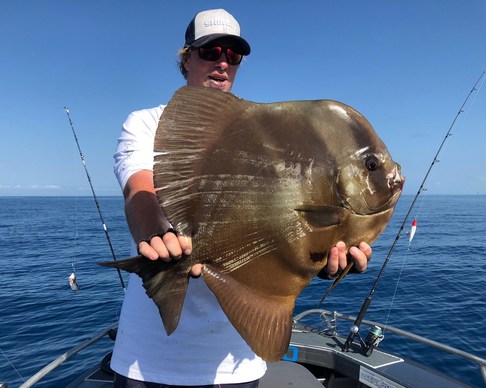 A big flathead