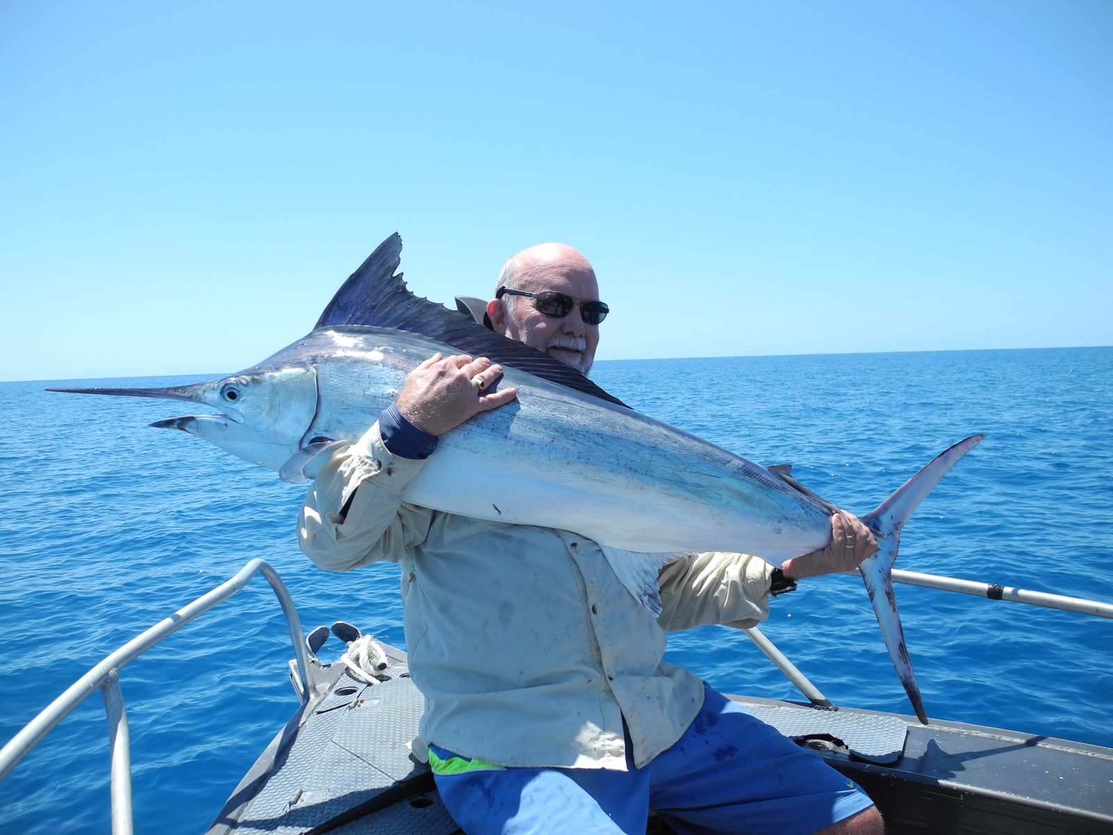 A marlin boat-side