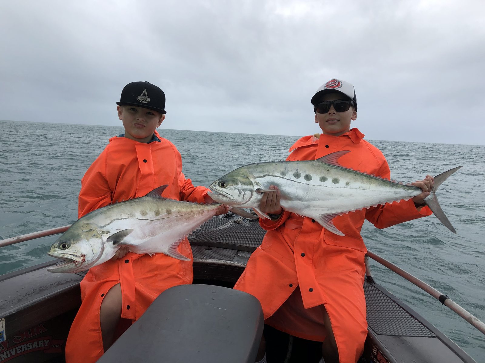 A pair of queenfish