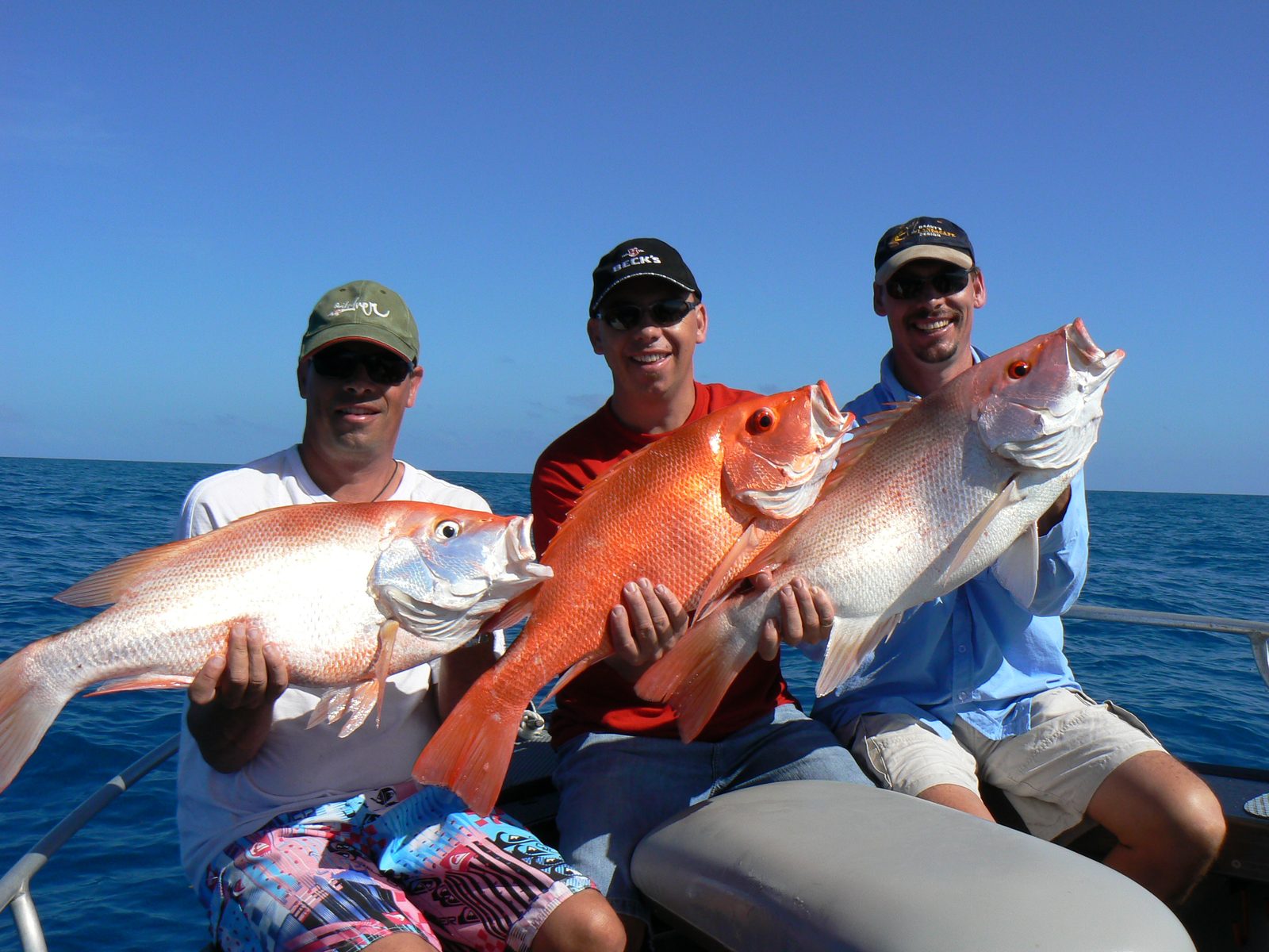A trio of reds caught on the reef