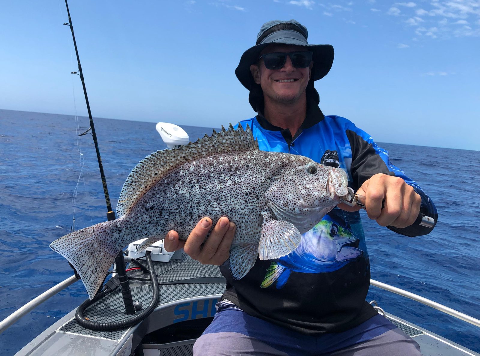A solid rock cod