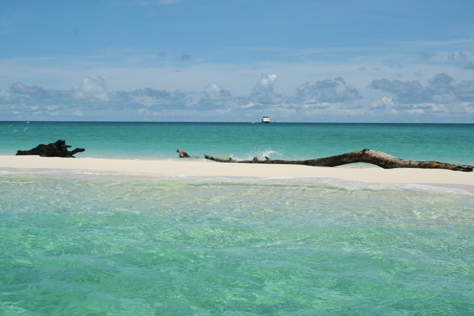 A white sand cay on the reef