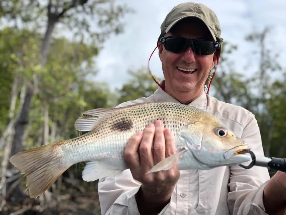 A river catch from the mangrove country
